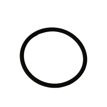 10023798