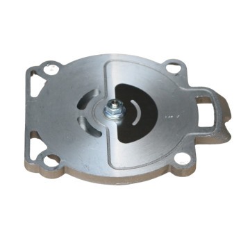 Klepplaat kompleet (36750)