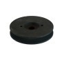 Poelie D100x1SPA C40 | Onderdeelnummer 2202832002