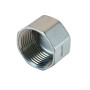 Dop 1" binnendraad RVS