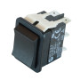 Positive and negative switch 78011