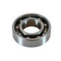 Kogellager 6007 (P60CV3) | Onderdeelnummer #033080000